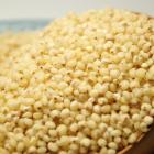 生态小镇有机高粱米420克/袋，2019-09-06生产新批次