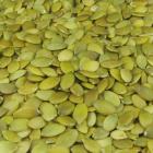 Organic Pumpkin Seed Kernels (New Batch)