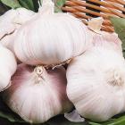 精品生态大蒜头（200克）