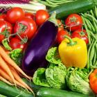 精品生态蔬菜特价套餐