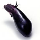 精品生态紫粗茄（1根）