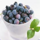 Blueberry (Whole Case)