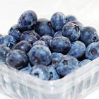 山东精品新鲜蓝莓(一级，2盒)