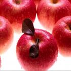 红富士苹果（整箱）