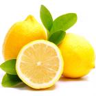 Quality Lemon (10pcs)