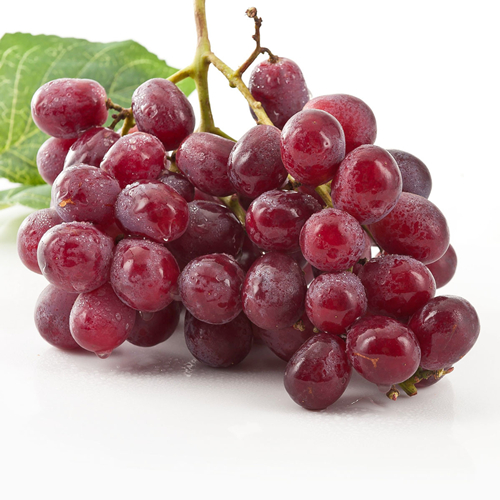 the fruit company why fruits are healthy the fruit company why fruits are healthy
