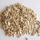 Organic Sunflower Seed Kernel (New Batch)