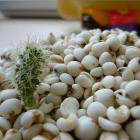 健澜园有机薏仁米（新批次，16年1月生产）