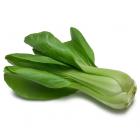 有机青菜（小青菜，和乐康专供）