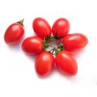 Organic Red Cherry Tomato (Helekang Limited Supply)