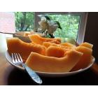 新疆哈密瓜（4只 4kg，整箱）
