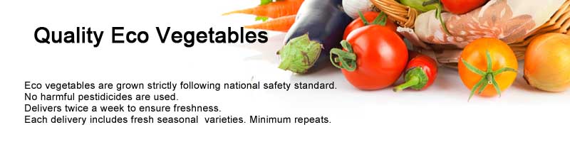 Quality Eco Vegetables