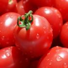 Organic Red Cherry Tomato (Helekang Exclusive)