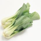Organic Shanghai Pak Choy