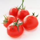 Organic Red Cherry Tomato