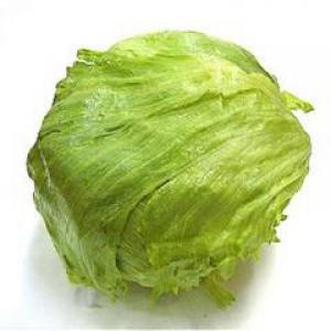 有机结球生菜(和乐康专供)