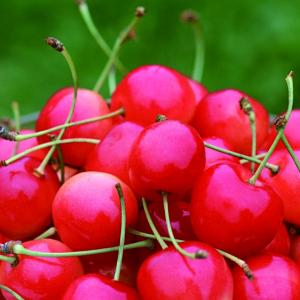 国产精品樱桃1.5kg礼盒装_时令新品_水果 HO