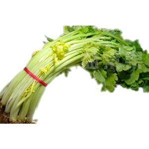 有机黄心芹(和乐康专供)