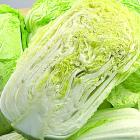 精品生态大白菜(胶菜)