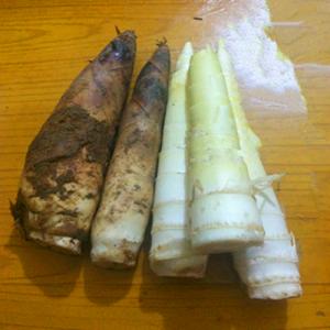 精品生态新鲜时令春笋(竹笋)_精品生态蔬菜_蔬